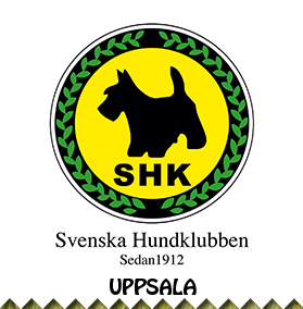 Svenska Hundklubben Uppsala